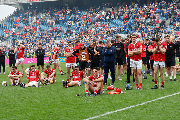 TIPP V CORK PLAY-1803