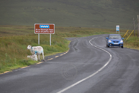 DÚN NA nGALL DONEGAL-0354