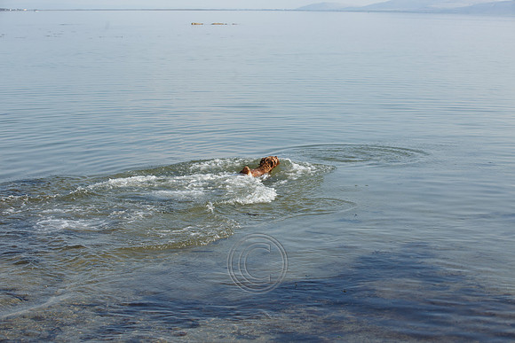 HOT WEATHER SALTHILL