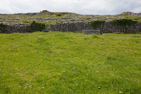 inisOírr14-5009