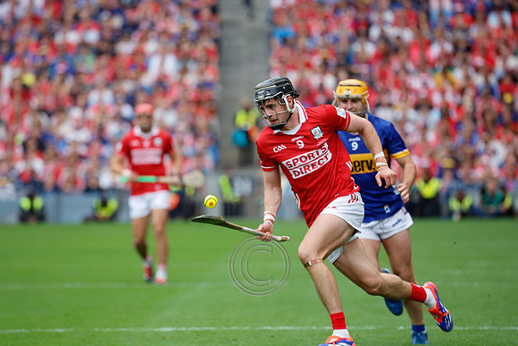 TIPP V CORK PLAY-1389