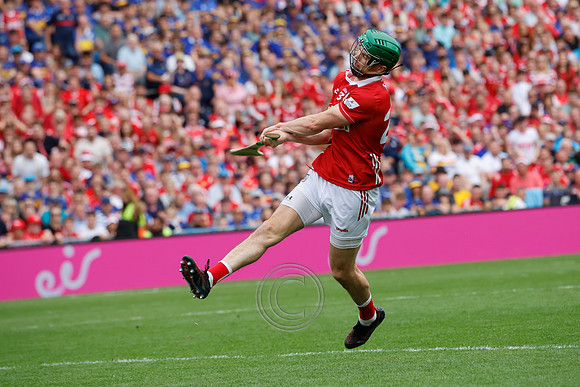TIPP V CORK PLAY-1420