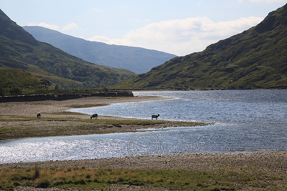 CarverTour15-0088