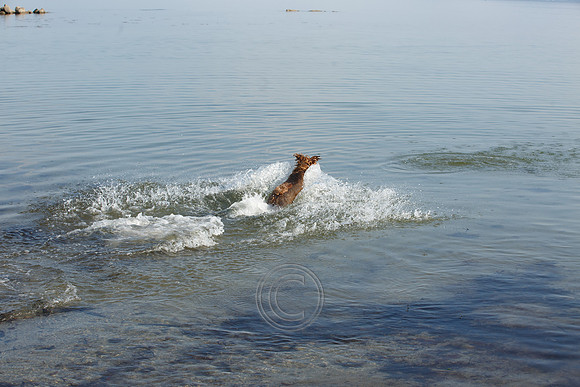HOT WEATHER SALTHILL