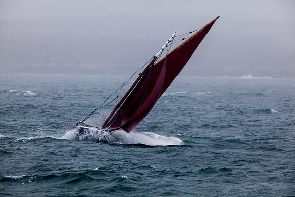 FéileRosamhil14_02-0098