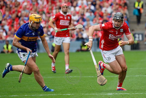 TIPP V CORK PLAY-1384
