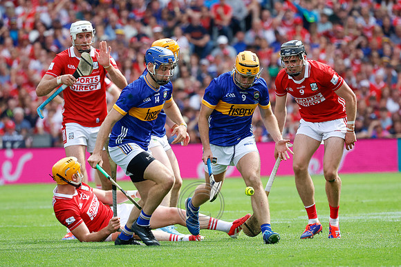 TIPP V CORK PLAY-0554