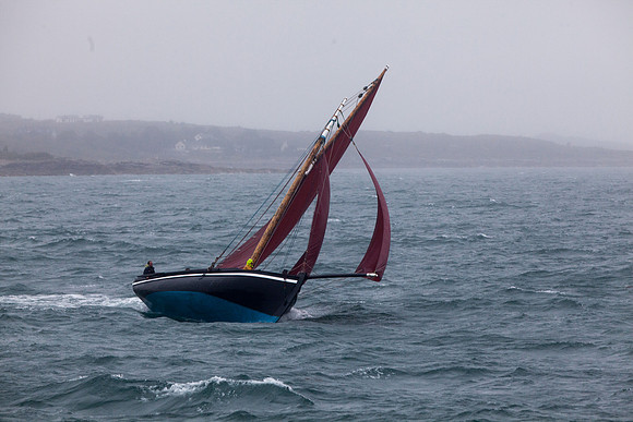 FéileRosamhil14_02-0142