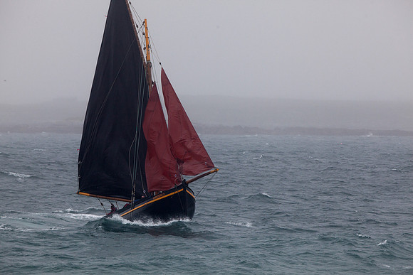 FéileRosamhil14_02-0154