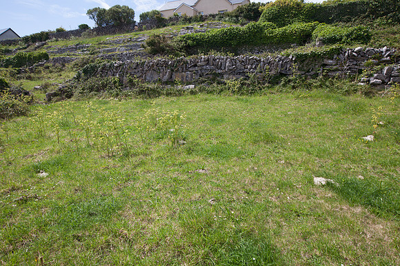 inisOírr14-5002
