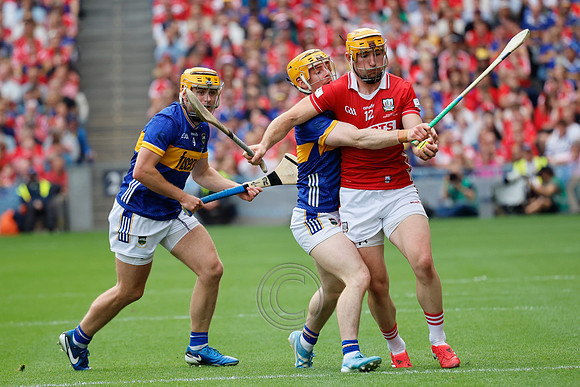 TIPP V CORK PLAY-0393