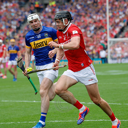TIPP V CORK PLAY-1063