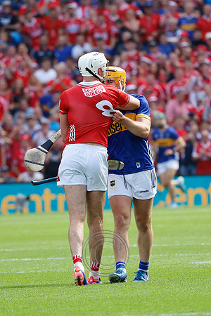 TIPP V CORK PLAY-0786