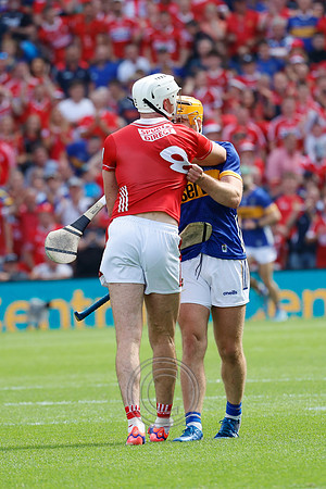 TIPP V CORK PLAY-0787
