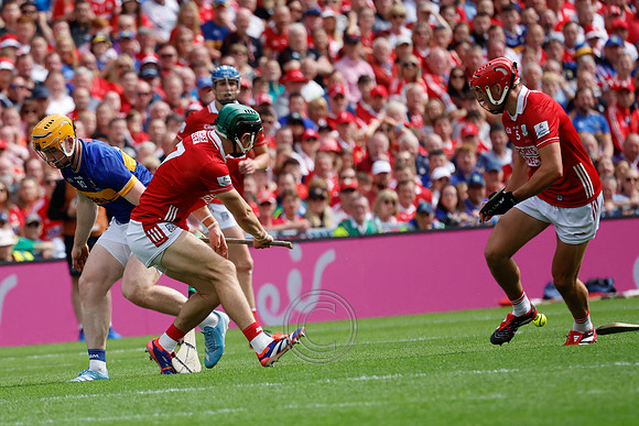 TIPP V CORK PLAY-0493