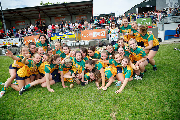 CLANN NA nGAEL V N FIONNBARRA-670