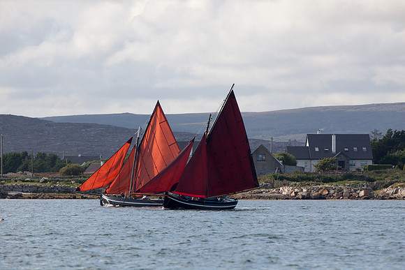 FéilenanOileán14-0156