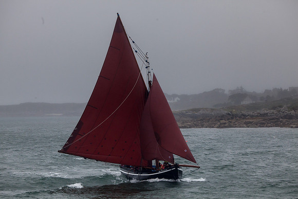 FéileRosamhil14_02-0182