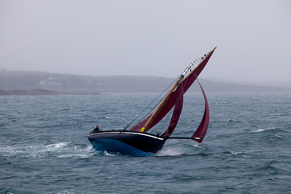 FéileRosamhil14_02-0145