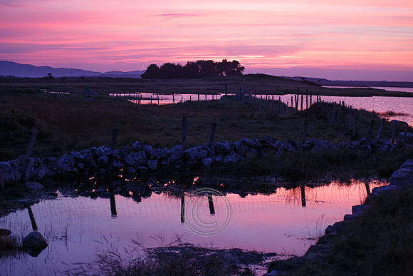 CONNEMARA BOG PIER-0055