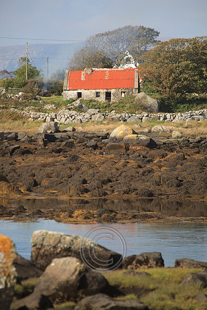 COTTAGE CONNEMARA-0096