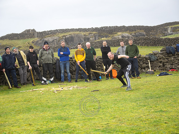 CEAD TÚS-1184