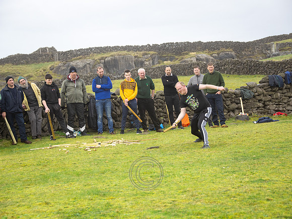 CEAD TÚS-1185