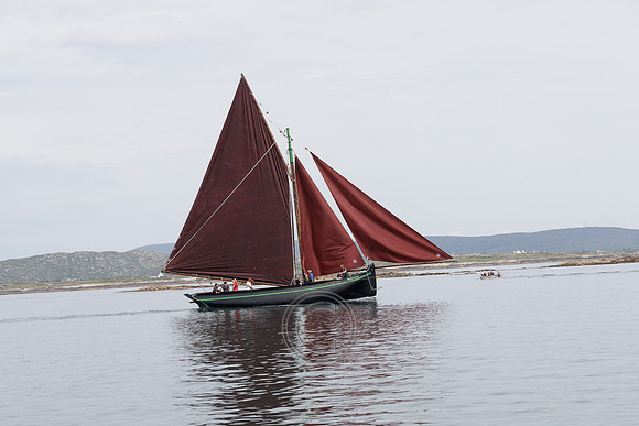 MACDARA-167