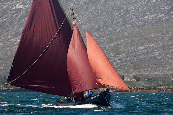 Féile_RosMuc14-0078