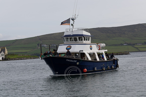 POBAL DINGLE-158