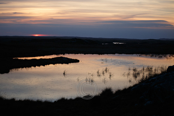 CONNEMARA BOG PIER-0051