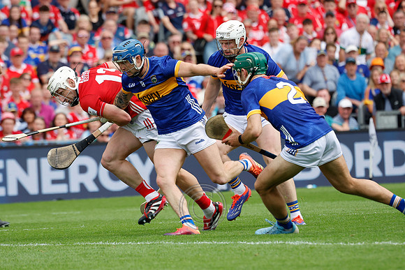 TIPP V CORK PLAY-0811