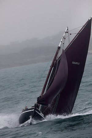 FéileRosamhil14_02-0168