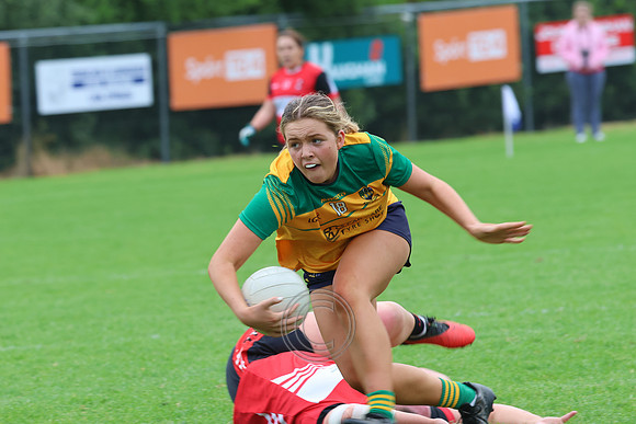 CLANN NA nGAEL V N FIONNBARRA-254