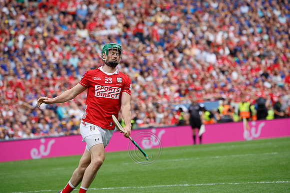 TIPP V CORK PLAY-1431