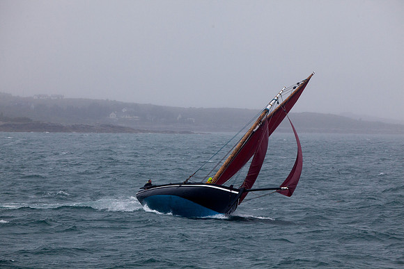 FéileRosamhil14_02-0144