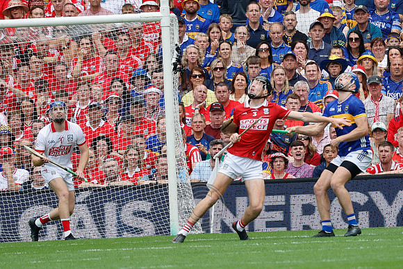 TIPP V CORK PLAY-1075