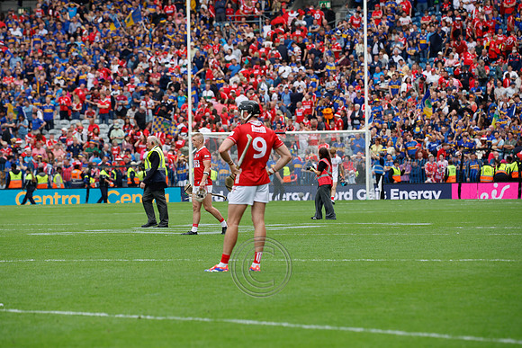 TIPP V CORK PLAY-1648