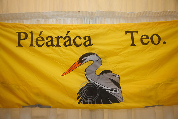 plearaca15-0104